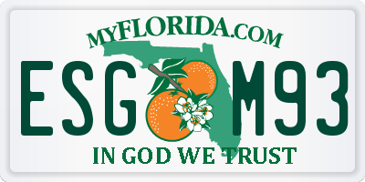FL license plate ESGM93