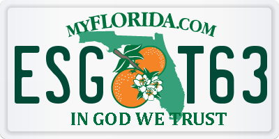 FL license plate ESGT63