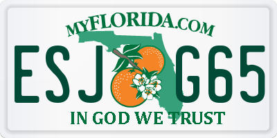 FL license plate ESJG65
