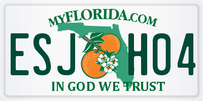 FL license plate ESJH04