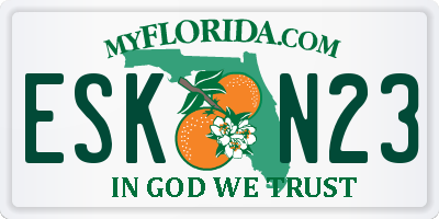 FL license plate ESKN23