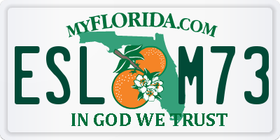 FL license plate ESLM73