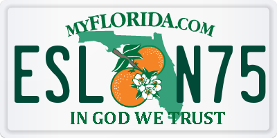 FL license plate ESLN75
