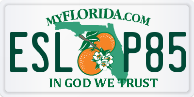 FL license plate ESLP85
