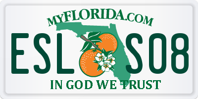 FL license plate ESLS08