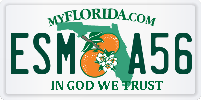FL license plate ESMA56