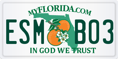 FL license plate ESMB03