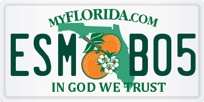 FL license plate ESMB05