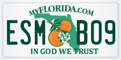 FL license plate ESMB09