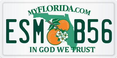 FL license plate ESMB56