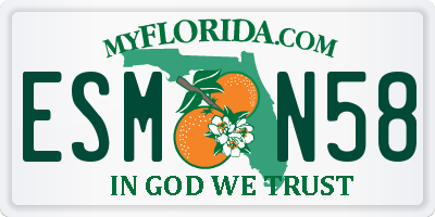 FL license plate ESMN58