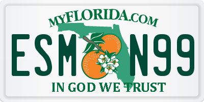 FL license plate ESMN99