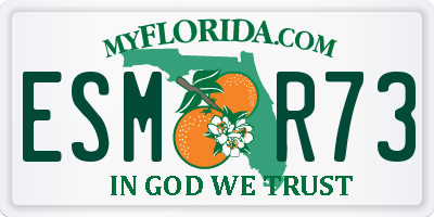 FL license plate ESMR73