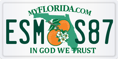FL license plate ESMS87
