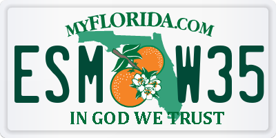 FL license plate ESMW35