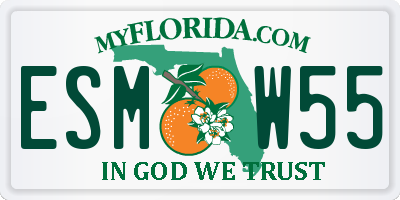 FL license plate ESMW55