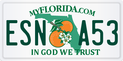FL license plate ESNA53