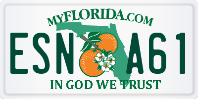 FL license plate ESNA61