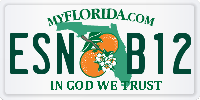 FL license plate ESNB12