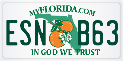 FL license plate ESNB63