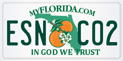 FL license plate ESNC02