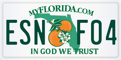 FL license plate ESNF04