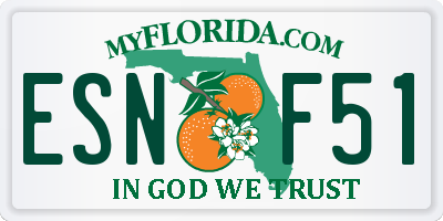 FL license plate ESNF51