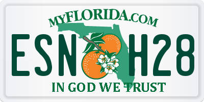 FL license plate ESNH28