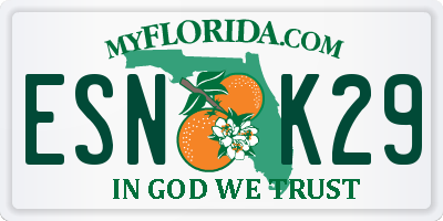 FL license plate ESNK29