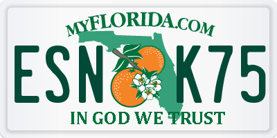 FL license plate ESNK75