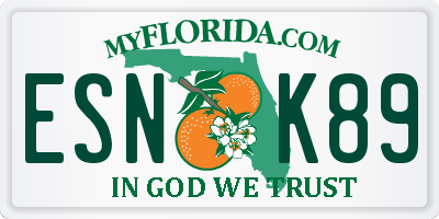 FL license plate ESNK89
