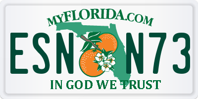 FL license plate ESNN73