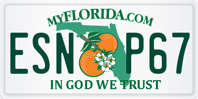 FL license plate ESNP67
