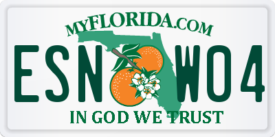 FL license plate ESNW04