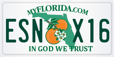 FL license plate ESNX16