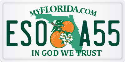 FL license plate ESOA55