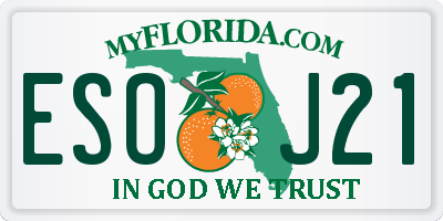 FL license plate ESOJ21