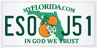 FL license plate ESOJ51
