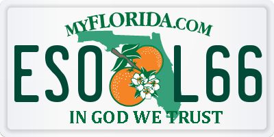 FL license plate ESOL66