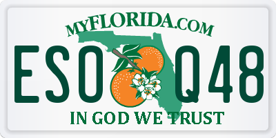 FL license plate ESOQ48