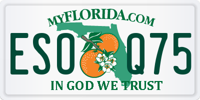 FL license plate ESOQ75