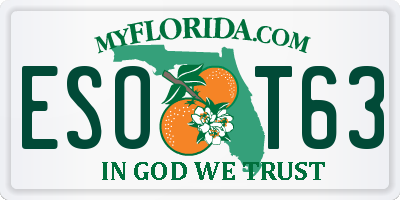 FL license plate ESOT63