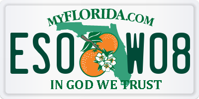 FL license plate ESOW08