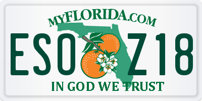 FL license plate ESOZ18