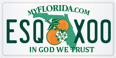 FL license plate ESQX00
