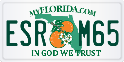 FL license plate ESRM65