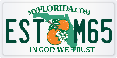FL license plate ESTM65
