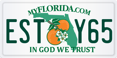 FL license plate ESTY65