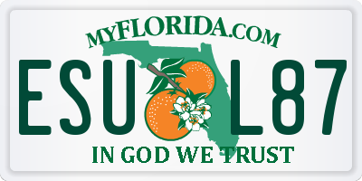 FL license plate ESUL87