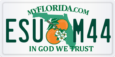 FL license plate ESUM44